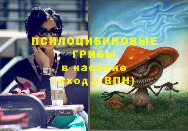 spice Бежецк