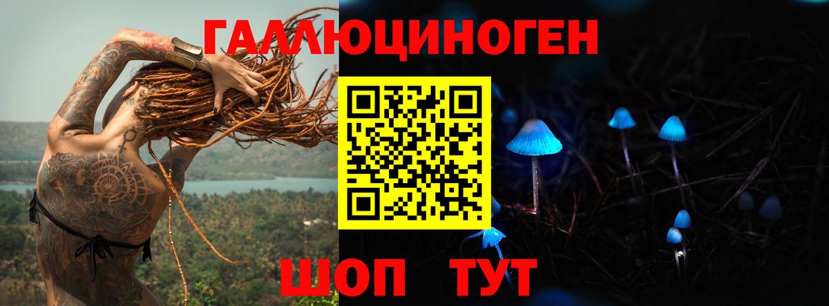 Галлюциногенные грибы Cubensis  Галлюциногенные грибы Psilocybe  Вход с VPN  Ахтубинск 