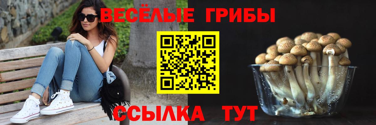 Псилоцибиновые грибы мухоморы  Ахтубинск 