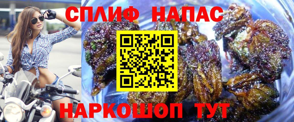 МАРИХУАНА White Widow Ахтубинск